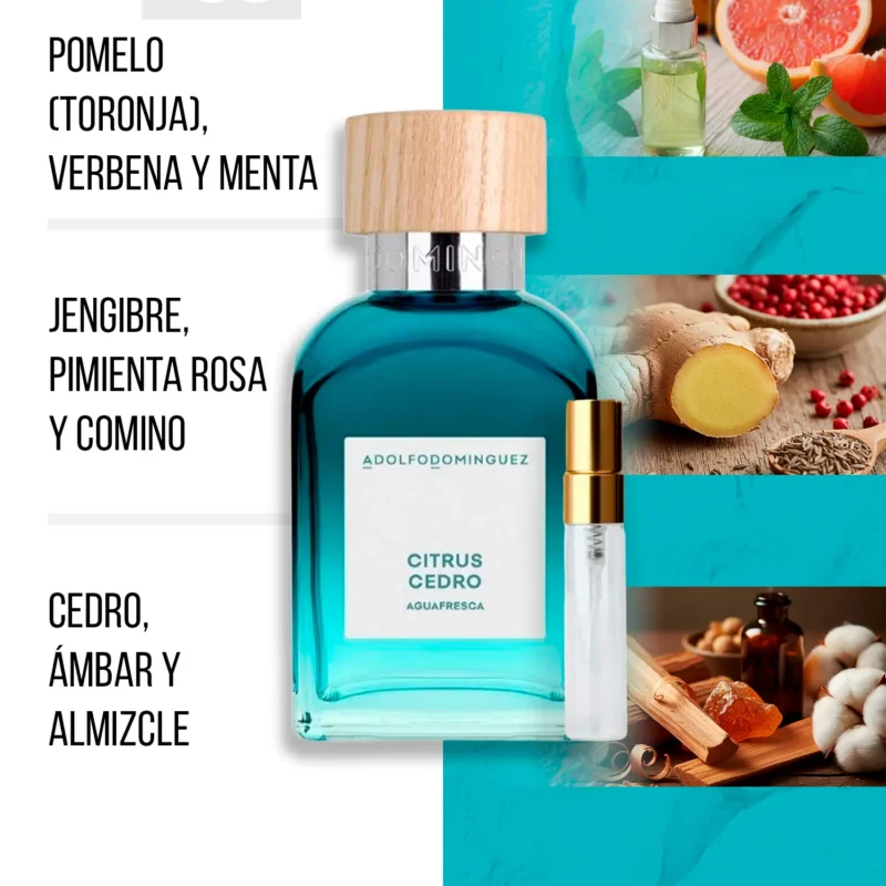 CITRUS CEDRO