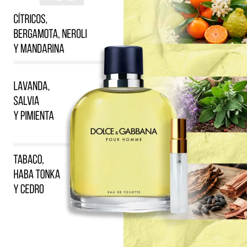 DOLCE & GABBANA POUR HOMME