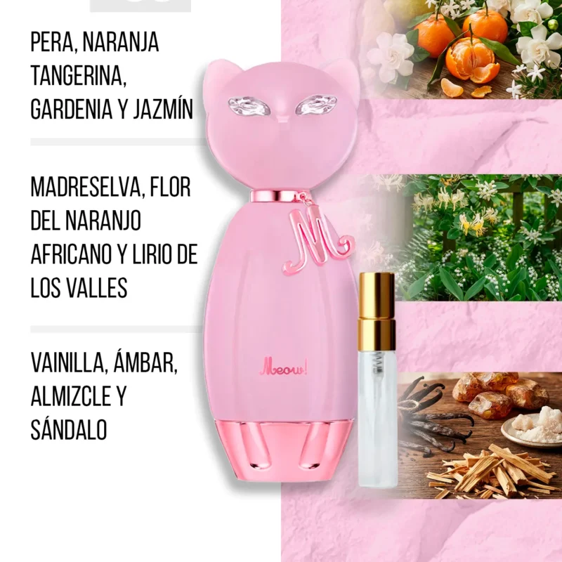 MEOW EDP